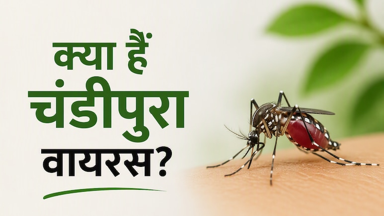 Explainer: चंडीपुरा वायरस क्या है? फिर से क्यों बन रहा है चिंता का कारण, हर माता-पिता को इसके बारे में पता होना चाहिए?