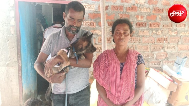 ग्राउंड रिपोर्ट: असम में पालतू कुत्ते को बचाते वक्त उफनती नदी में बहा इकलौता बेटा, बेबस पिता के सामने टूटी सांसें