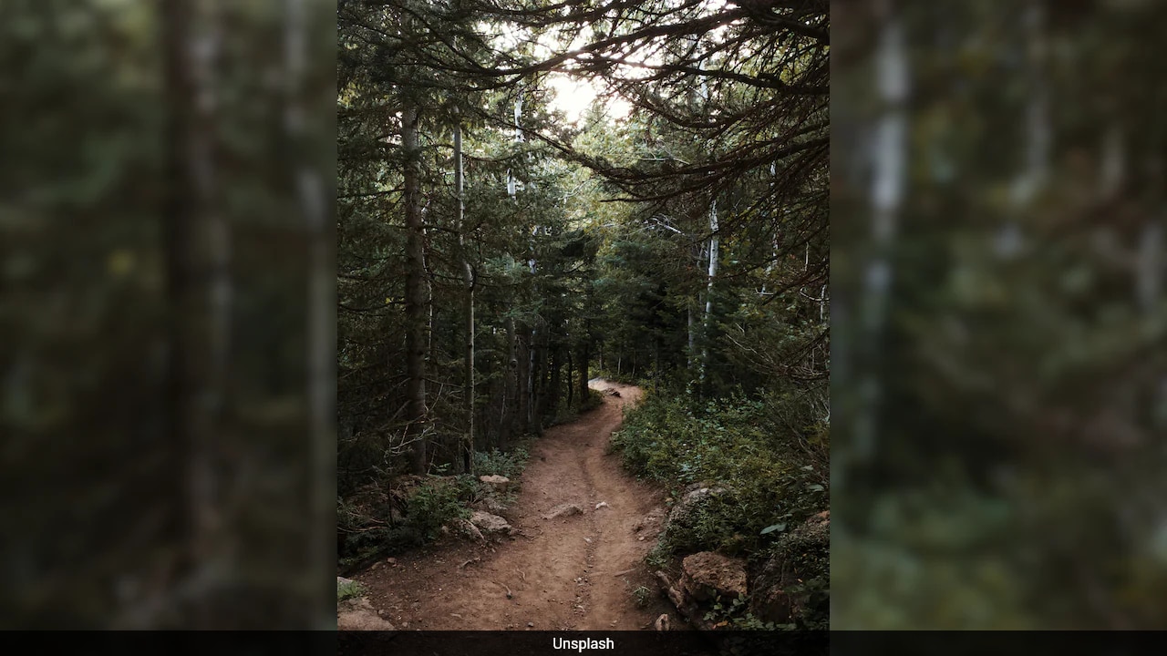 The Economics of Continental Thru-Hiking: A Deconstruction of the 3500 Km European Trail Infrastructure