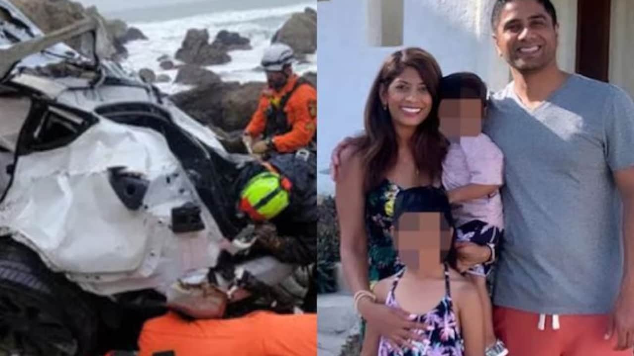 US Court Relief For Indian-Origin Doctor Who Drove Family In Tesla Off Cliff