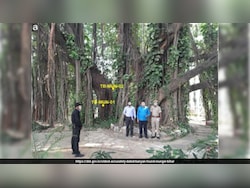 World's Oldest Accurately Dated Banyan Tree Found In Bihar's Munger, Estimated At 700 Years Old
