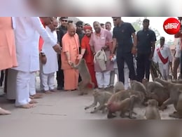 'मिशन बुंदेलखंड' पर सीएम योगी, कामदगिरि परिक्रमा में बंदरों को खिलाया चना, क्यों अहम है चित्रकूट दौरा