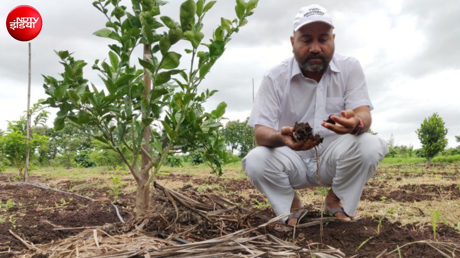Left Bank Jobs to Build Rs 800 Cr Organic Farm: Two Brothers Story
