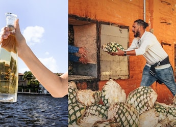 8 Tequila Brands Owned By Some Of The World's Biggest Celebrities