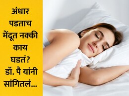 Sleep System: रात्र झाली की लगेच झोप का येते? त्यामागे मेंदूत घडणारं 'हे' मोठं रहस्य जाणून घ्या