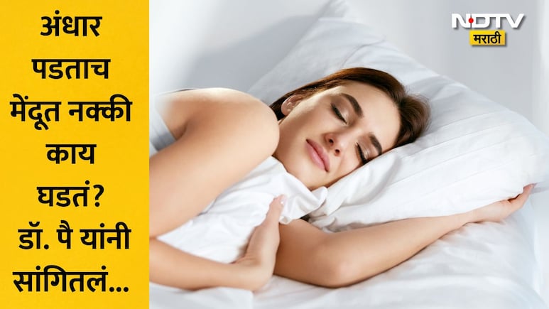 Sleep System: रात्र झाली की लगेच झोप का येते? त्यामागे मेंदूत घडणारं 'हे' मोठं रहस्य जाणून घ्या
