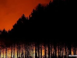 In Pics: How Wildfires Are Ravaging Western Europe This Summer