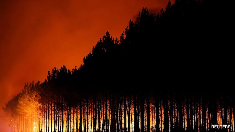 In Pics: How Wildfires Are Ravaging Western Europe This Summer