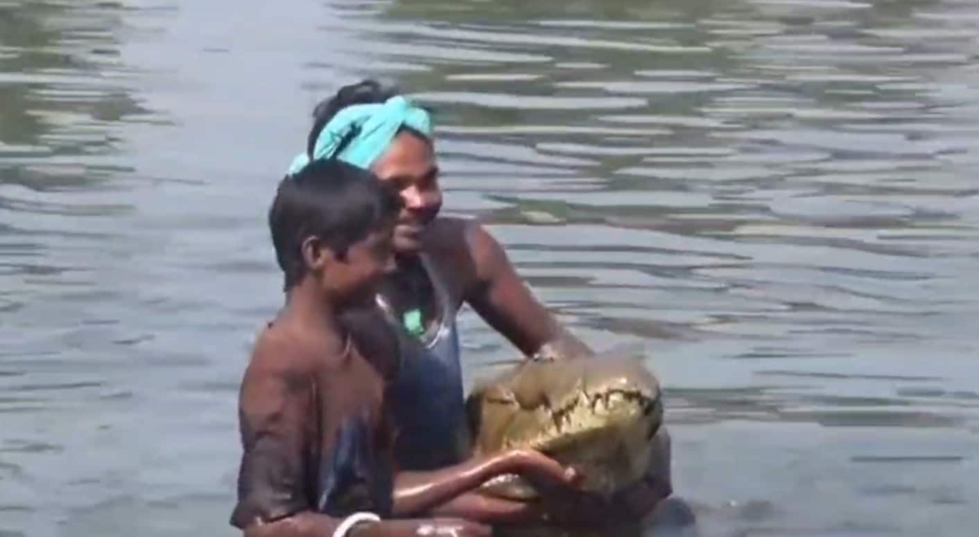बेमेतरा जिले के बावा मोहतरा गांव में इंसान और मगरमच्छ की दोस्ती करीब 3 दशक तक कायम रही. मगरमच्छ का नाम गंगाराम रखा गया था. गंगाराम किसी बच्चे तक पर भी हमला नहीं करता था.