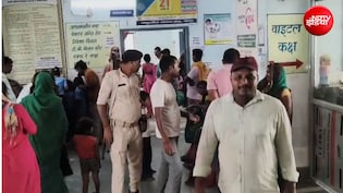बिहार के खगड़िया में बड़ी लापरवाही, मिड डे मील में मिला मरा हुआ सांप, 20 से अधिक बच्चे हुए बीमार