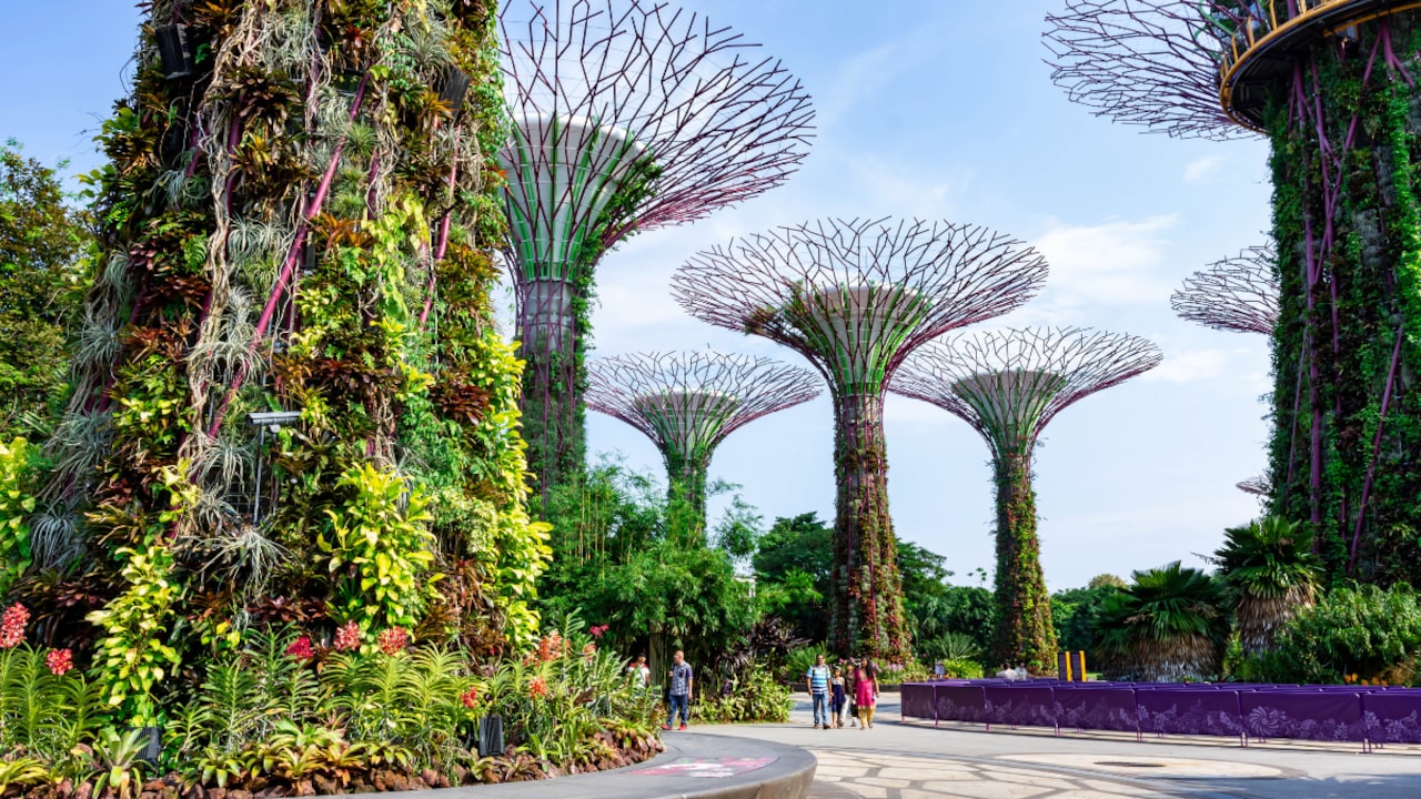 Several countries offer clear and relatively straightforward work visas Indian professionals.