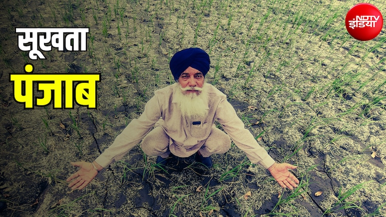सूख रहा पंजाब, पानी हो रहा जहरीला... ग्राउंडवॉटर नीचे जाने से खेती और सेहत पर कैसे खड़ा हो रहा संकट? Explained