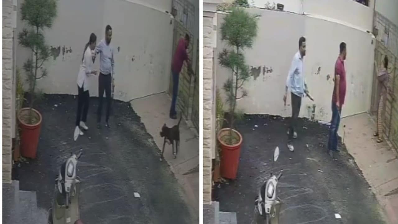 Couple Injured In Pitbull Attack In Punjab