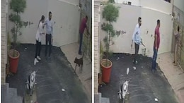 On Camera, Punjab Couple Attacked By Pitbull, Woman Seriously Injured