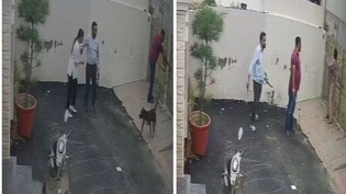 Couple Injured In Pitbull Attack In Punjab