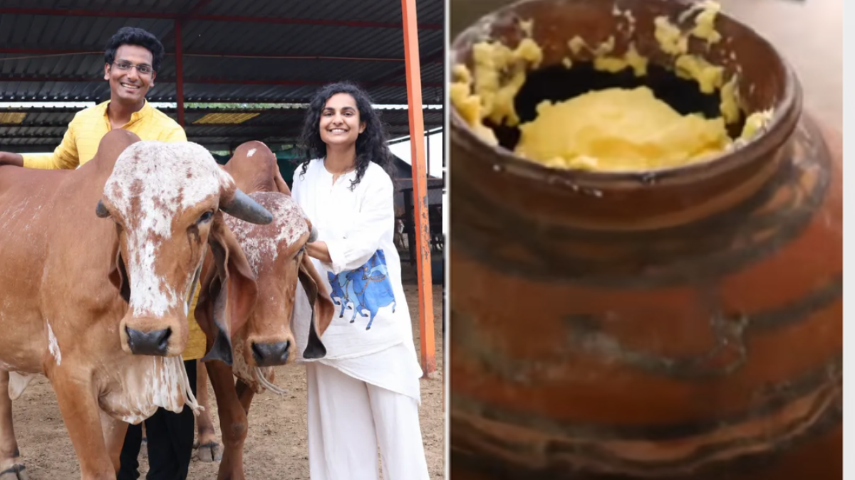 How A Jaipur Couple Turned 100 Gir Cows Into A Rs 2.4 Crore Organic Farm