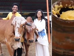 How A Jaipur Couple Turned 100 Gir Cows Into A Rs 2.4 Crore Organic Farm