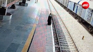 Watch Video: इलेक्ट्रिक ट्रैक लगाती ट्रेन के सामने कूदने वाली थी महिला, दौड़कर बचाया