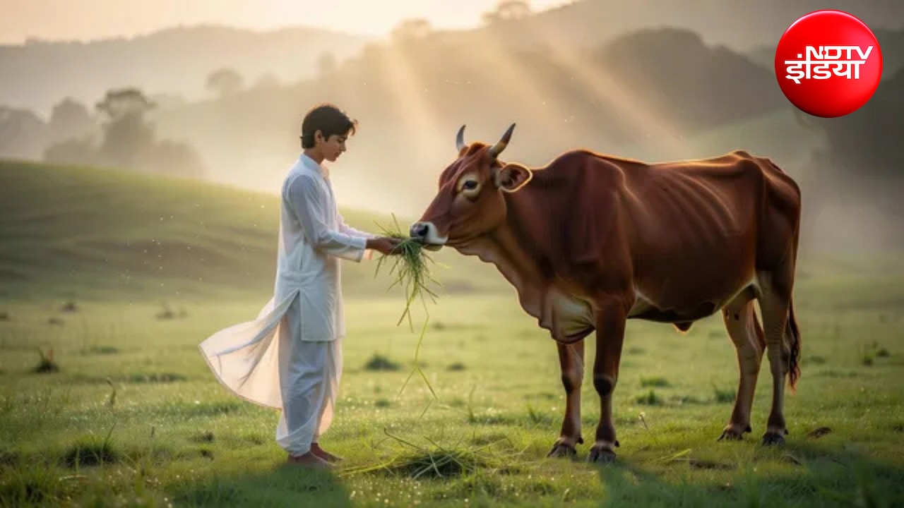 Swapna Shastra: सपने में गाय को चारा खिलाना देता है देवगुरु बृहस्पति का संकेत? जानें धन, सम्मान और सफलता से जुड़े शुभ संकेत