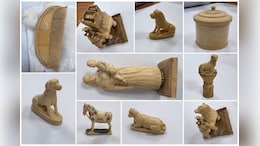 Ivory Trafficking Syndicate Busted In Lucknow, 54 Artefacts Seized; Four Held