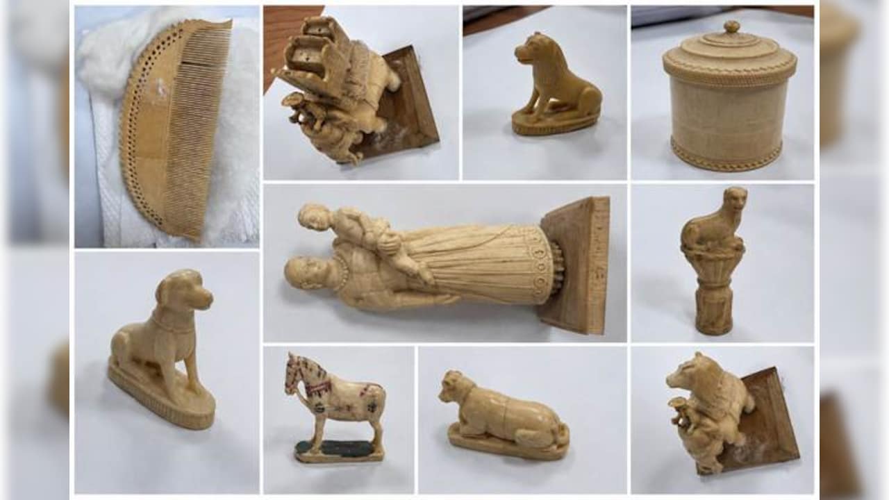 Ivory Trafficking Syndicate Busted In Lucknow, 54 Artefacts Seized; Four Held