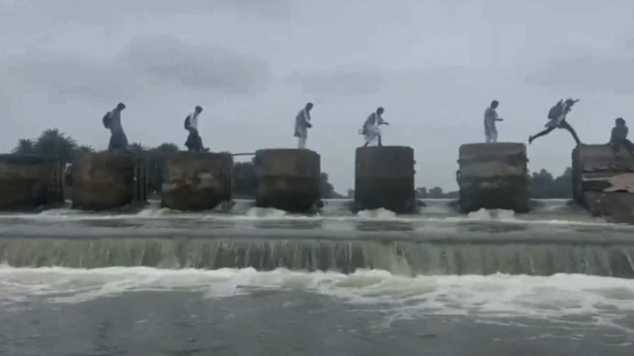 Video Shows Children Crossing Broken Dam To Reach School In Madhya Pradesh, High Court Steps In