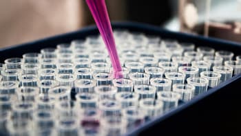 Navine Fluorine Shares Surge 7% After Q1 Profit More Than Doubles, Revenue Jumps 44%