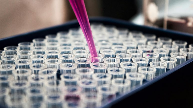 Navine Fluorine Shares Surge 7% After Q1 Profit More Than Doubles, Revenue Jumps 44%