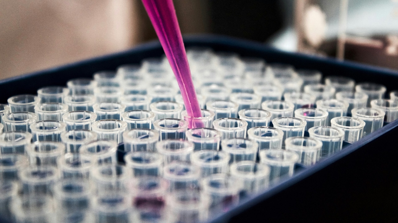 Navine Fluorine Shares Surge 7% After Q1 Profit More Than Doubles, Revenue Jumps 44%