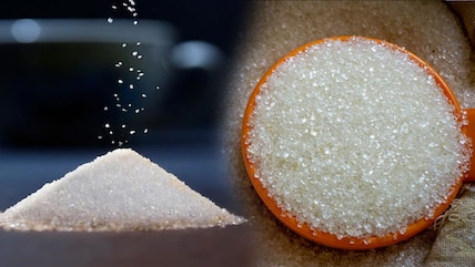 Sugar Price Rise Triggers Political Row; Centre Moves To Curb Costs