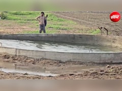गुजरात के इस कुएं को क्या हुआ? समंदर की जैसी उठ रही हैं लहरें, देखिए वीडियो