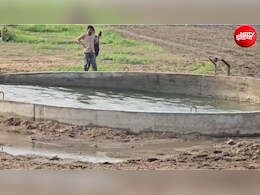 कुएं में उठ रही समंदर जैसी लहरें, गुजरात में जिसने इसे देखा वही हैरान, VIDEO