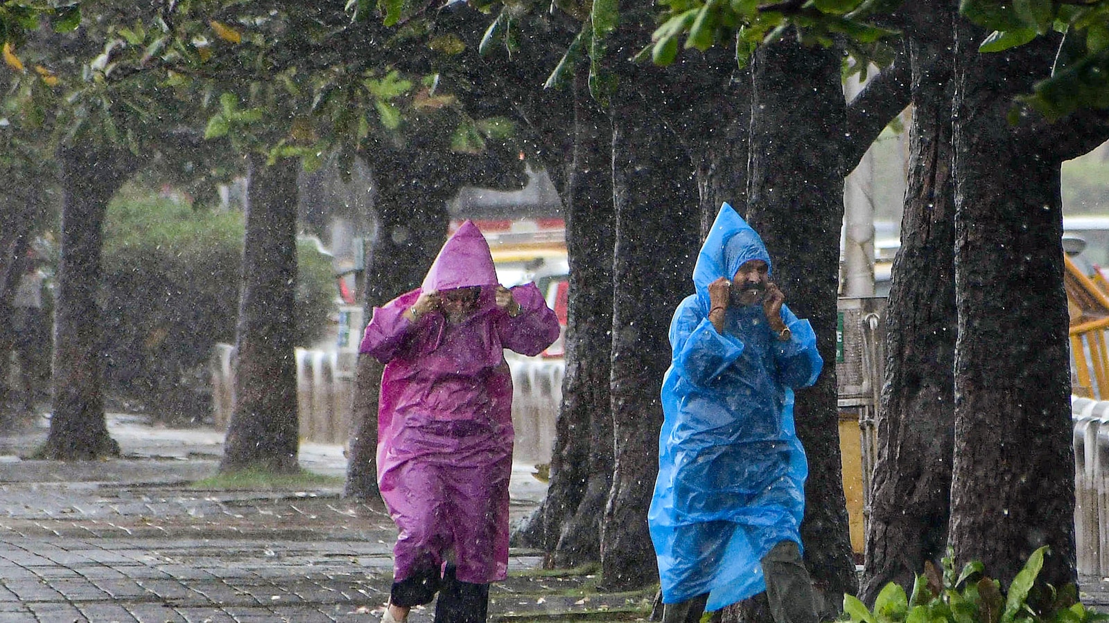 Heavy Mumbai Rain Causes Waterlogging, Disrupts Traffic and Rail Services