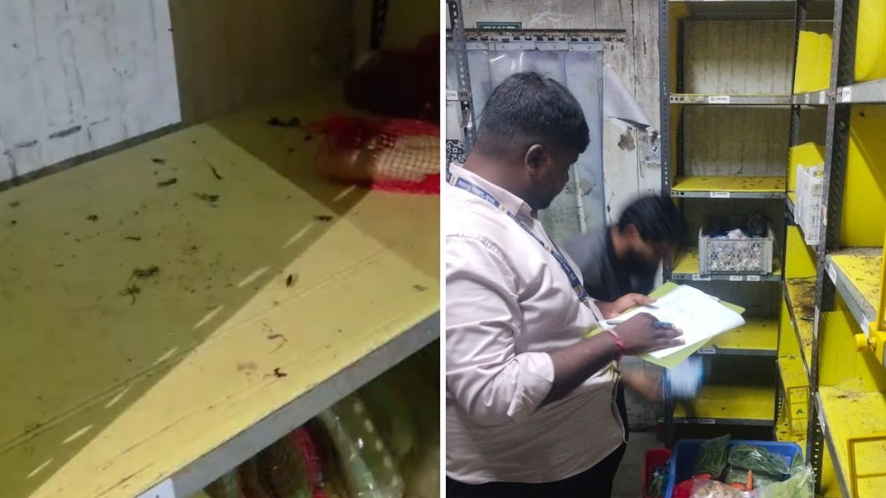 In Mumbai, Cockroach Infestation At Blinkit Unit, Sweets Seized From Reliance Retail