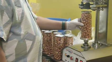 Bihar Exports 7 Metric Tonnes Of Makhana To Canada, What Makes It Stand Out?