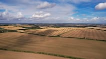 Chinese Farmer Suffers 25 Acres Of Crop Loss Following AI Chatbot's Advice