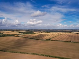 Chinese Farmer Suffers 25 Acres Of Crop Loss Blindly Following AI Chatbot's Advice