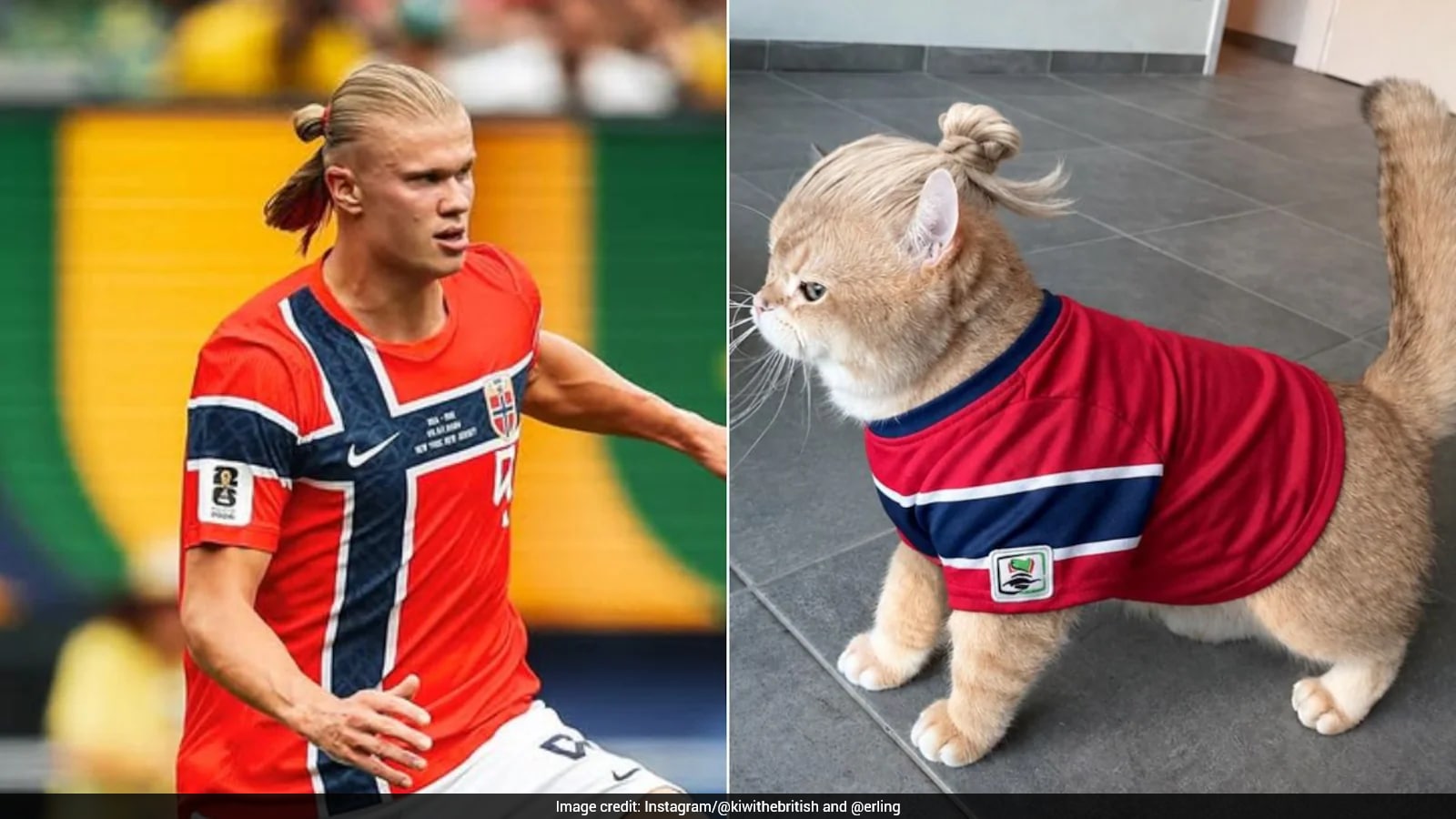 Erling Haaland Responds to Viral Cat Lookalike with Humorous Comment