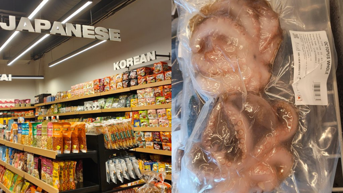 Gurugram's Neighbourhoods Are Changing, Frozen Octopus Reveals How