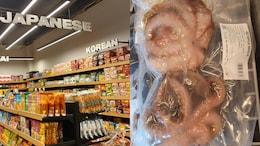 Gurugram's Neighbourhoods Are Changing, Frozen Octopus Reveals How