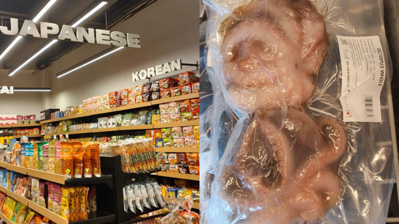 Gurugram's Neighbourhoods Are Changing, Frozen Octopus Reveals How