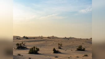 क्या कभी शार्क का घर था Egypt का रेगिस्तान? वैज्ञानिकों की नई खोज ने दुनिया को चौंकाया