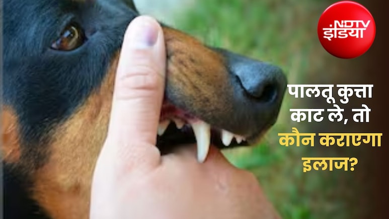 लिफ्ट के अंदर काट ले पालतू कुत्ता, तो इलाज की जिम्मेदारी किसकी होगी?