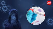 H1N1 Cases Surge: ICMR का बड़ा अपडेट, भारत में नहीं मिला स्वाइन फ्लू का नया स्ट्रेन