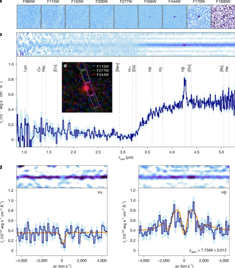 Rohan Naidu Black Hole Star Study: स्टडी का निष्कर्ष Rohan Naidu Black Hole Star Study: स्टडी का निष्कर्ष
