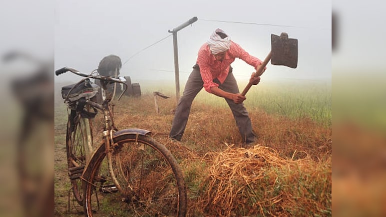 इलाज के पैसे खत्म हुए तो पिता ने खोदी 2 साल की बेटी की कब्र, सालों बाद उसी जगह खिले सूरजमुखी के फूल