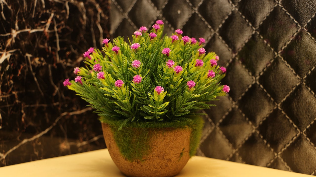 10 Easy Ways To Keep Artificial Plants Clean And Dust-Free