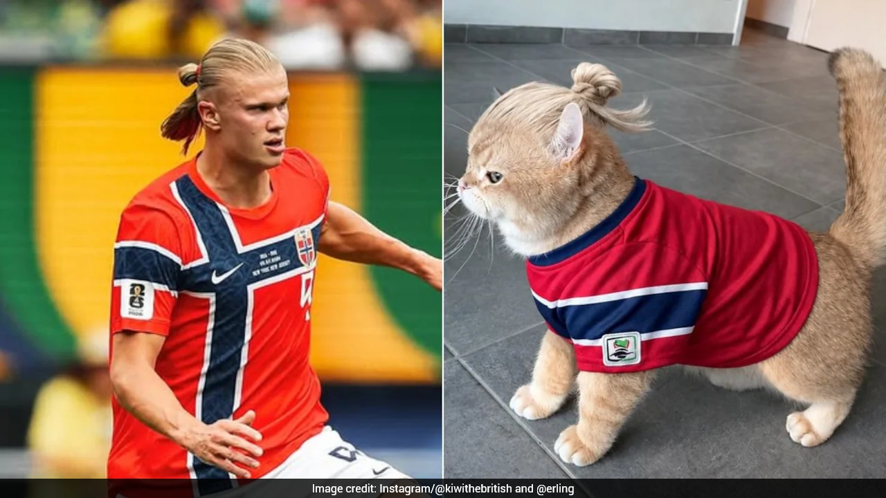 Erling Haaland Embraces Viral Comparison to Internet's Favorite Feline Lookalike