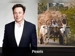 Why Elon Musk Thinks India Needs Starlink Despite 1 Billion Internet Subscriptions