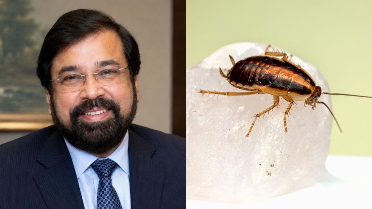 Need 'Cockroaches Per Square Foot' Limit? Harsh Goenka Reacts To Bombay High Court's Food Licence Remark